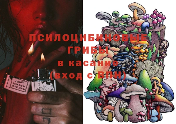 гашик Абинск