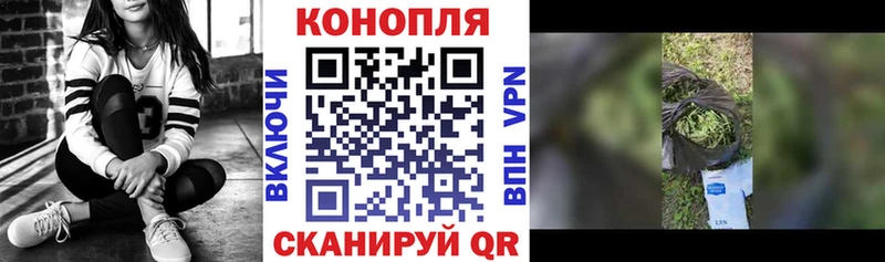 Конопля ГИДРОПОН  где купить наркоту  Благовещенск 